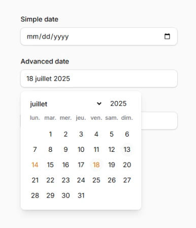 Date/Time Inputs